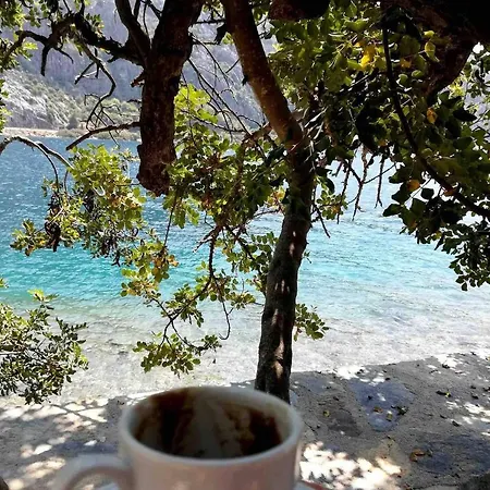 Marmaris Homes 아파트
