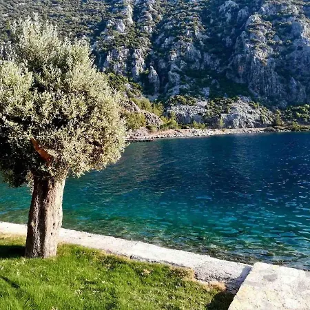 Apartment Marmaris Homes *